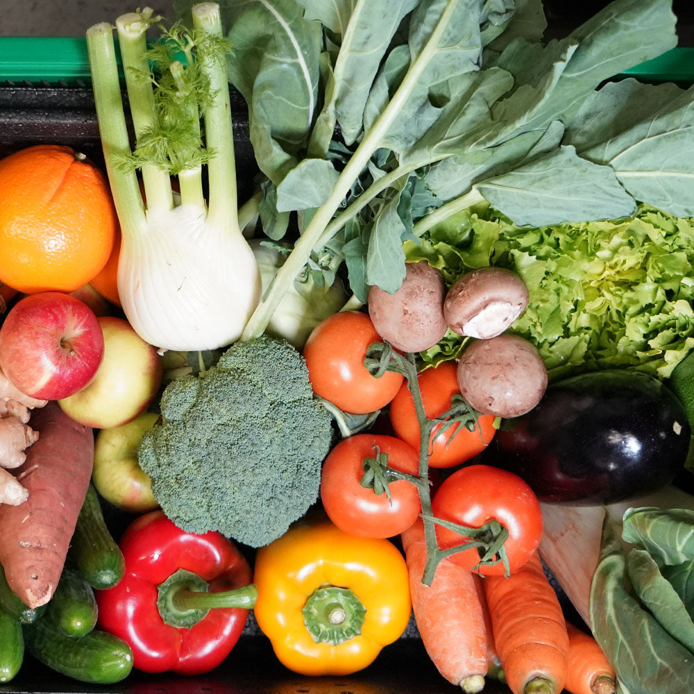 Schnupperkiste - zum Kennenlernen